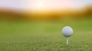 Golfbaan Heelsum Golfbal