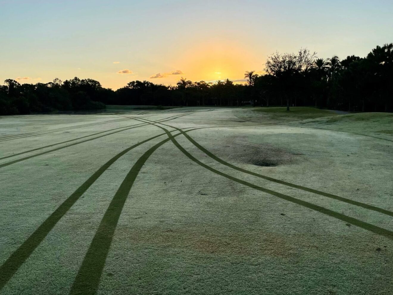 Dauwtrappen op 29 mei, Hemelvaartsdag: schrijf in!