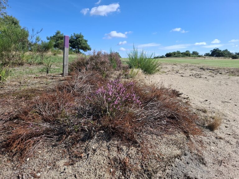 Bedreigt droogte onze golfbaan ?