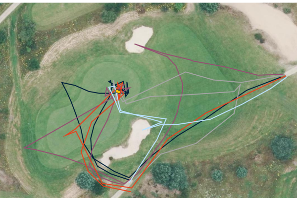 Screenshot 2025-03-24 at 11-20-36 Tekening looppatronen green versus pinposities.pdf